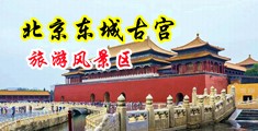 潮喷视频三级片中国北京-东城古宫旅游风景区